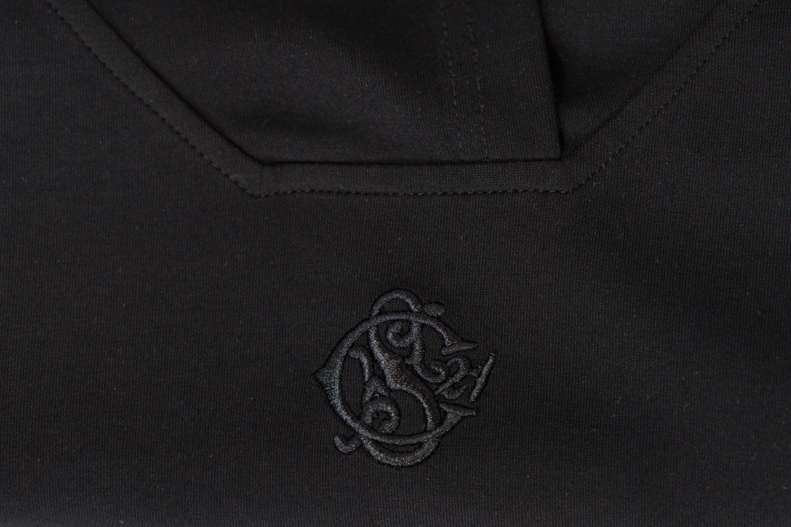 PANTHER PARKWAY - EVERY DAY HOODIE