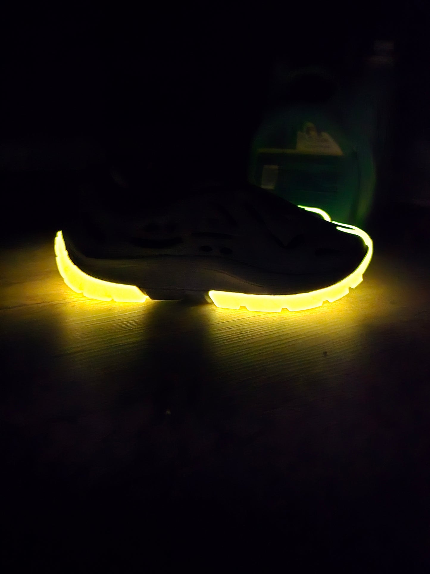 EVO FOAM TRAINER (Pigeon)