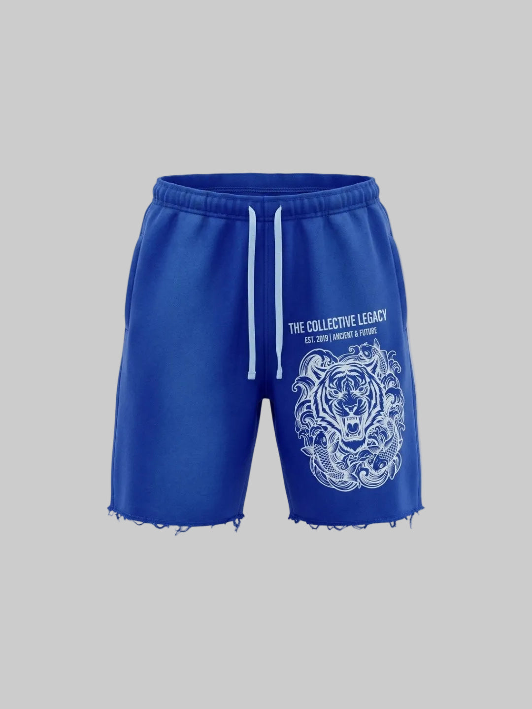 Legacy Gym Shorts (Blue)