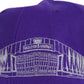 Stadium Series Hat (BeamTeam)
