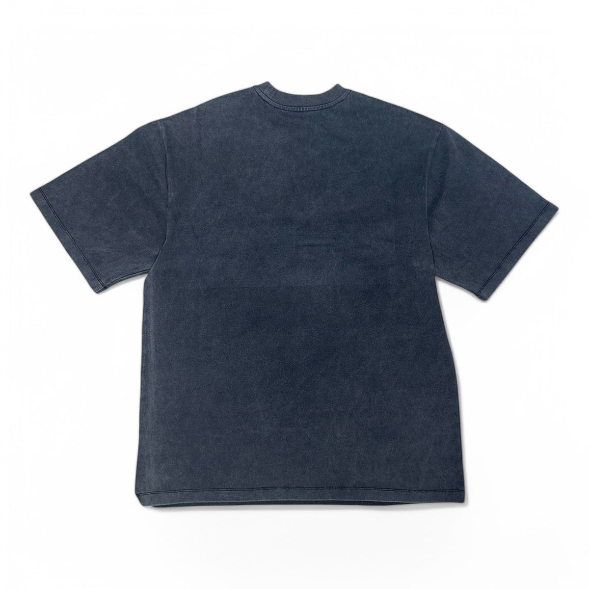 SIA HER WASHED RHINESTONE T-SHIRT (CARTER MOTEL) (Labor Day ‘26)