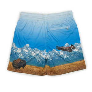 
                  
                    Load image into Gallery viewer, SIA &amp;quot;BLUE SKY &amp;quot; Mesh Shorts
                  
                