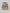(PREORDER!!!!!) SHORTS (DIGITAL CAMO MSG)