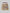 (PREORDER!!!!!) SHORTS (DIGITAL CAMO MSG)