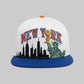 (PREORDER!!!!!).. CHAMPIONSHIP HAT (WHITE)