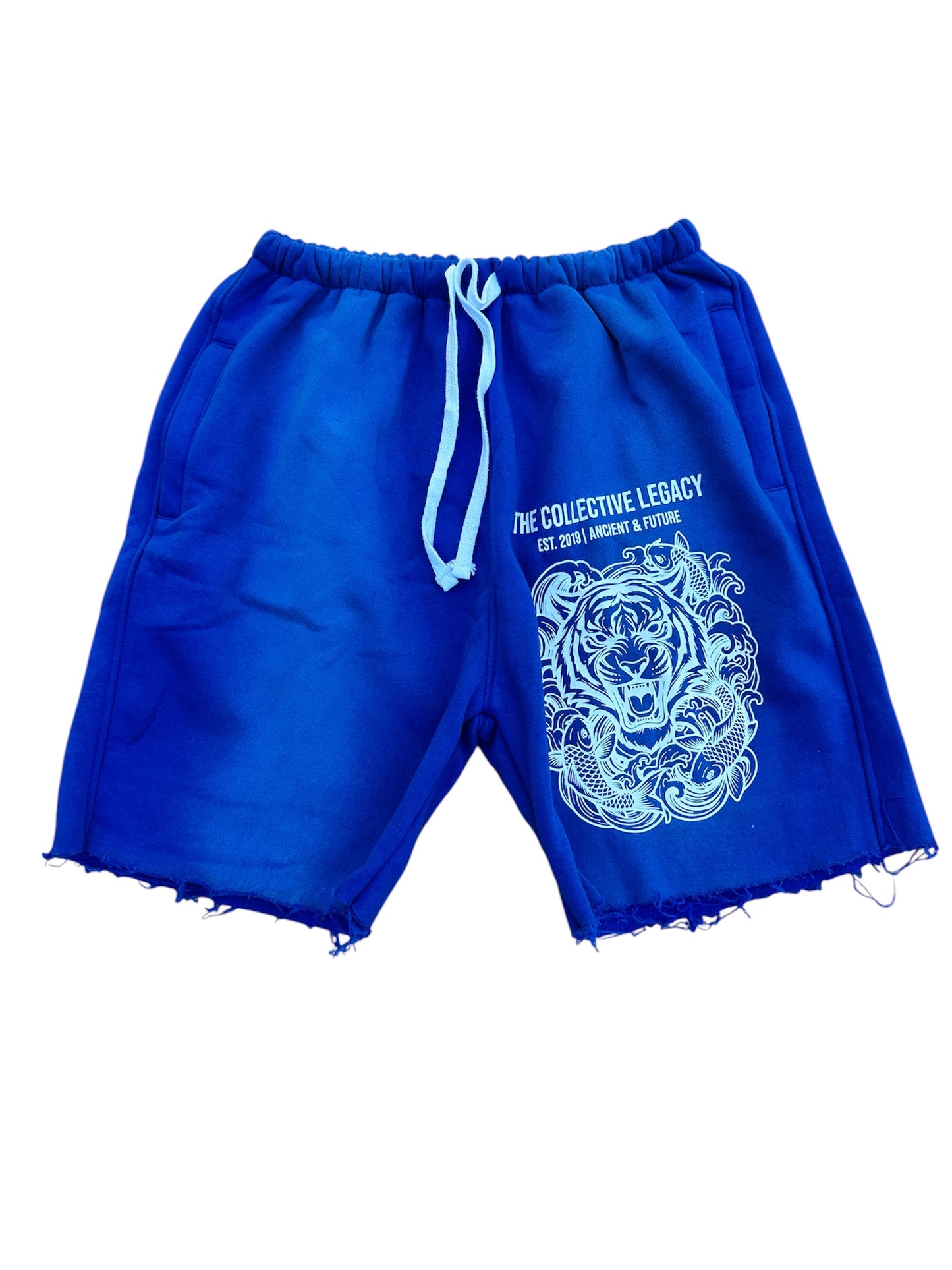 Legacy Gym Shorts (Blue)
