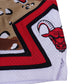 Desert Camo Shorts (Chicago)