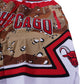 Desert Camo Shorts (Chicago)